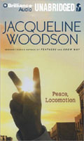 Book Cover Art